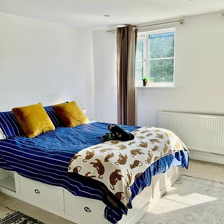 Family Home In Seaside Town Гастингс Экстерьер фото